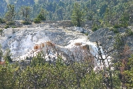 Yellowstone_thermal3.jpg