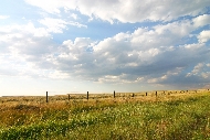 prarie.jpg